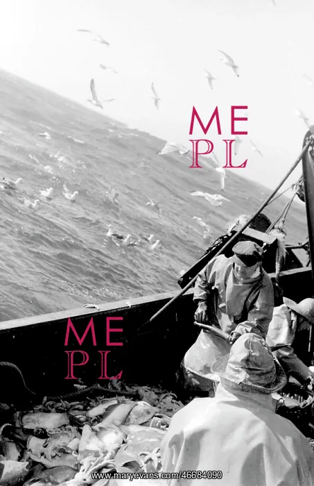 : Life on a North Sea trawler : Life on a North Sea trawler