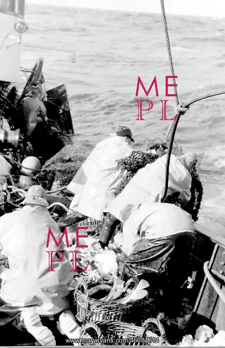 : Life on a North Sea trawler : Life on a North Sea trawler