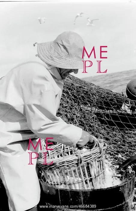 : Life on a North Sea trawler : Life on a North Sea trawler