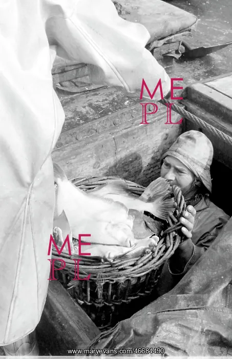 : Life on a North Sea trawler : Life on a North Sea trawler