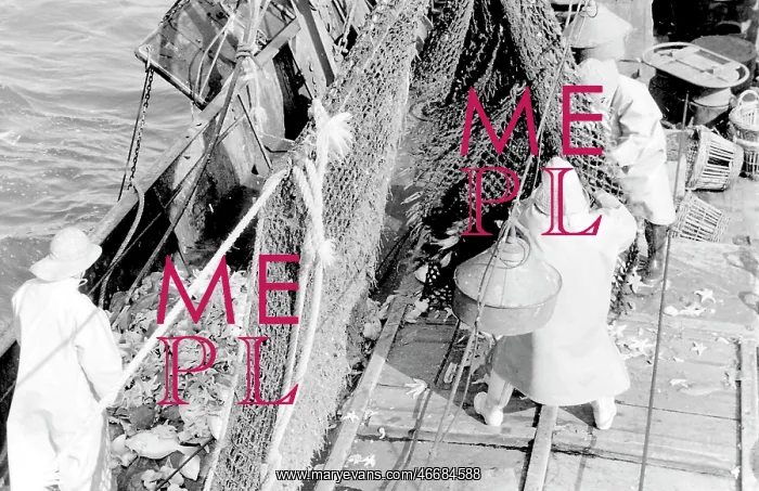 : Life on a North Sea trawler : Life on a North Sea trawler