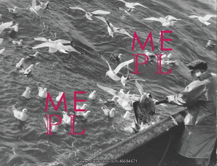 : Life on a North Sea trawler : Life on a North Sea trawler