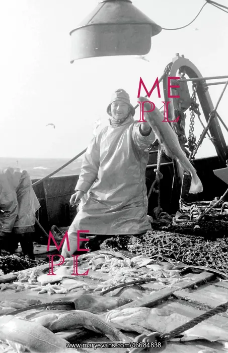 : Life on a North Sea trawler : Life on a North Sea trawler