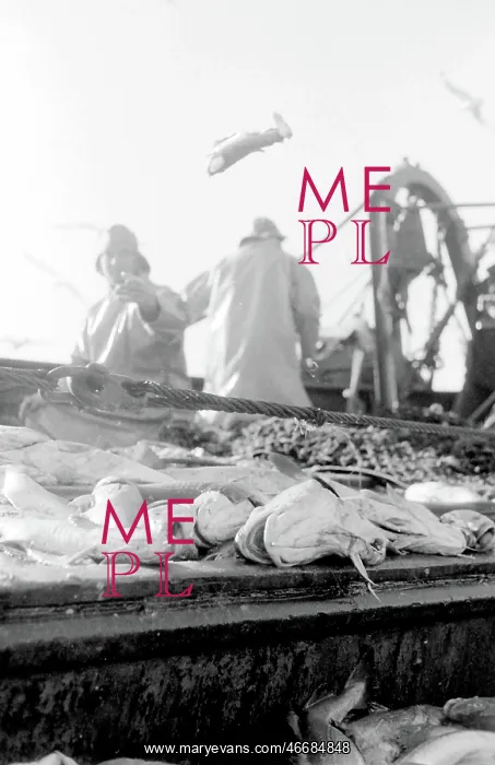 : Life on a North Sea trawler : Life on a North Sea trawler