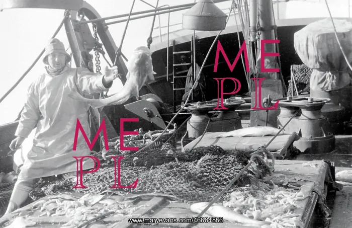 : Life on a North Sea trawler : Life on a North Sea trawler