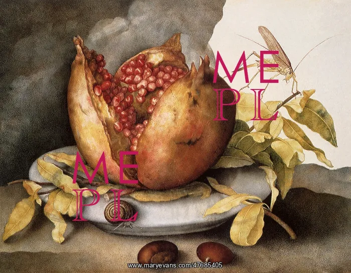 : Still Life with Open Pomegranate : Still Life with Open Pomegranate