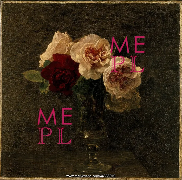 : Still Life: pink and red Roses : Still Life: pink and red Roses