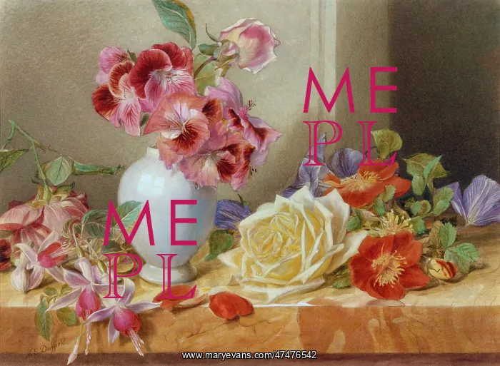 : Still Life of Roses and Fuchsia on a ledge : Still Life of Roses and Fuchsia on a ledge