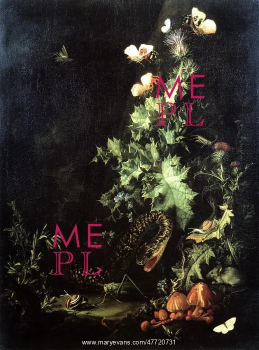 : Still Life with a Snake : Still Life with a Snake