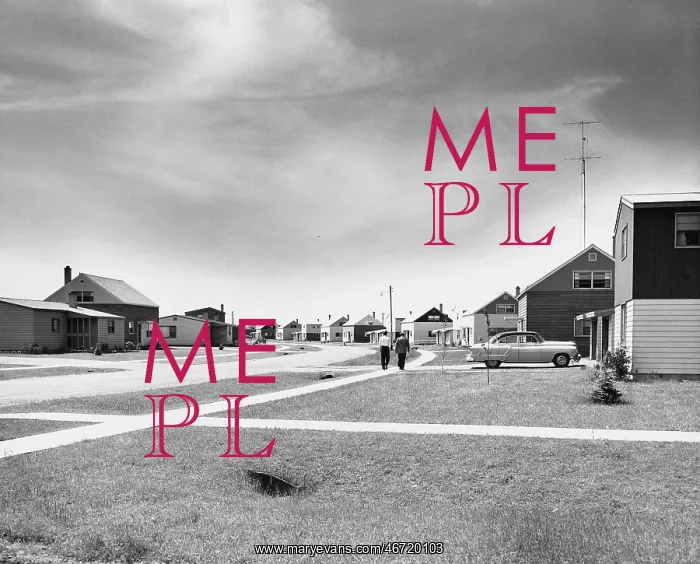 : Life in the suburbs : Life in the suburbs