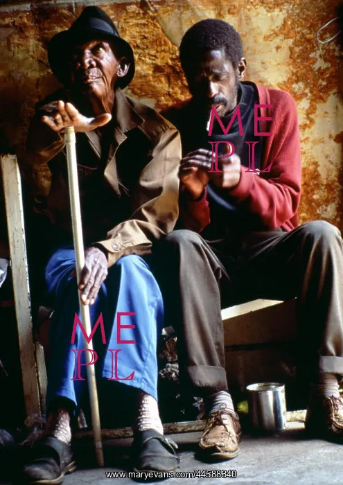: Life in the townships, informal settlement / squatter : Life in the townships, informal settlement / squatter