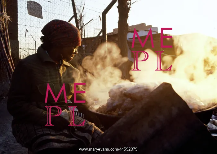 : Life in the townships, informal settlement / squatter : Life in the townships, informal settlement / squatter