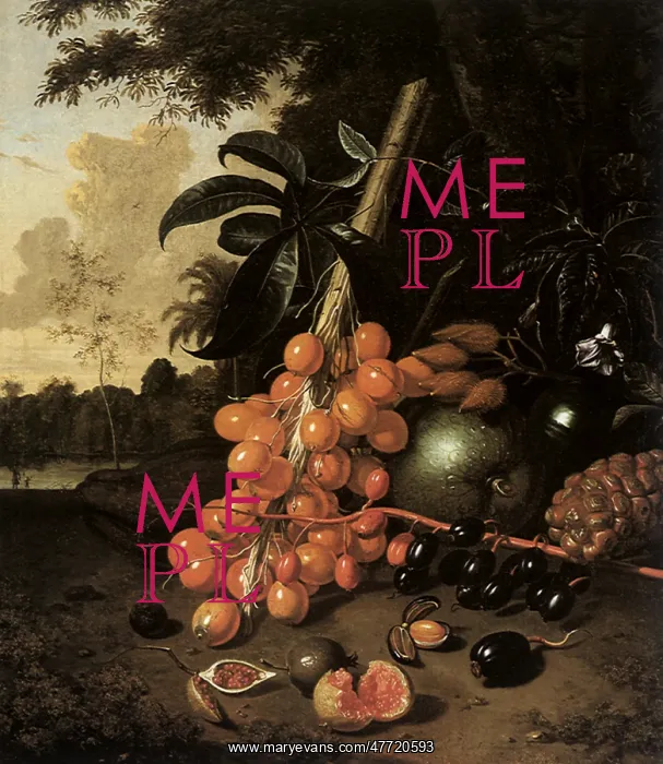 : Still Life with Tropical Fruit : Still Life with Tropical Fruit