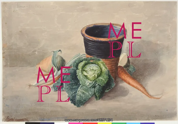 : Still Life with Vegetables, Roxburgh Terrace, Edinburgh : Still Life with Vegetables, Roxburgh Terrace, Edinburgh