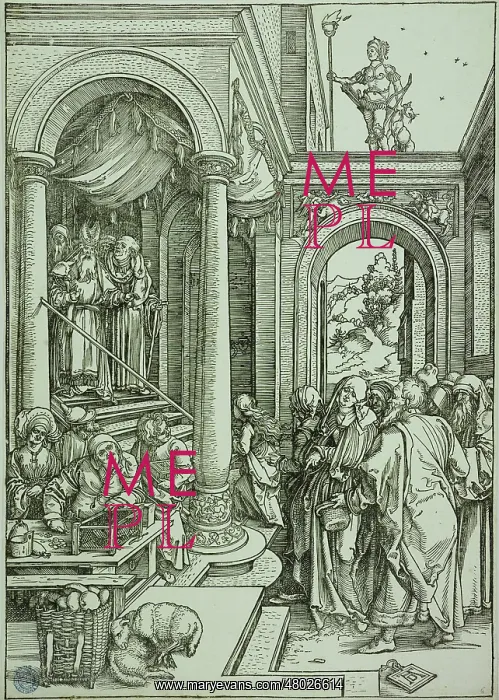: The Life of the Virgin : The Life of the Virgin