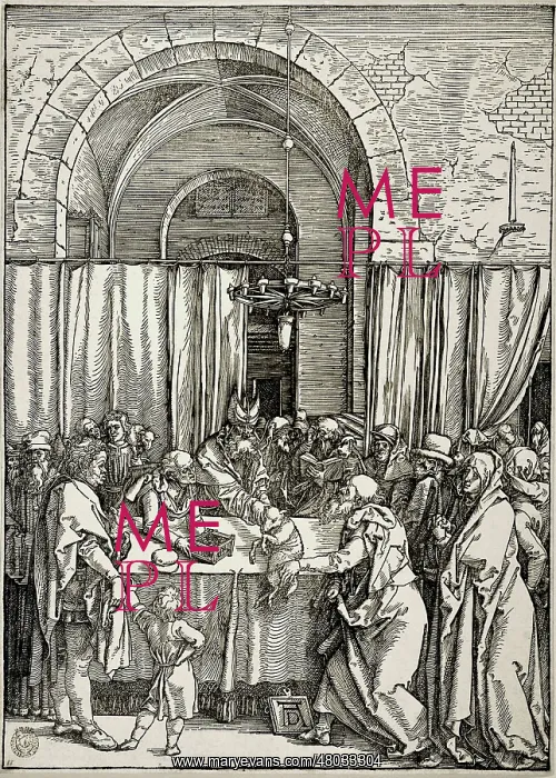 : The Life of the Virgin : The Life of the Virgin