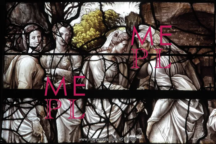 : Life of the Virgin and the Childhood of Christ : Life of the Virgin and the Childhood of Christ