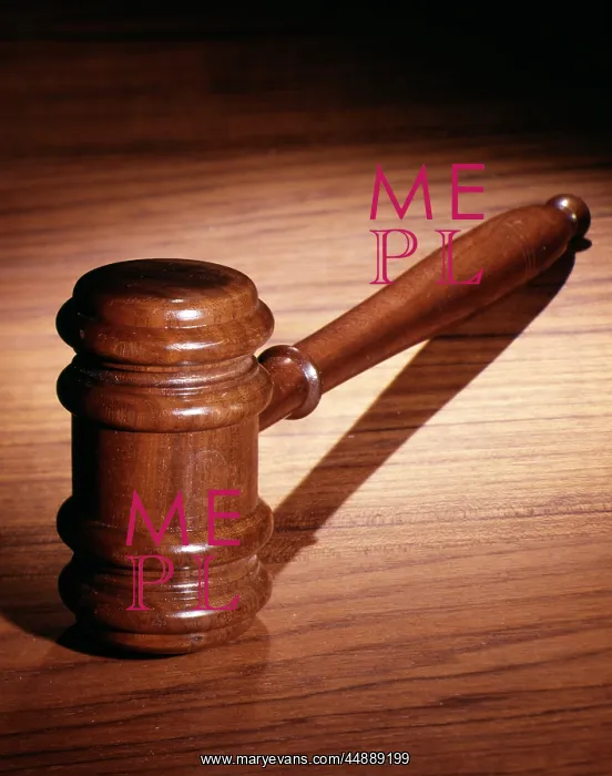  : Still Life Wooden Gavel