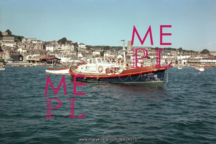 : The lifeboat, Salcombe : The lifeboat, Salcombe