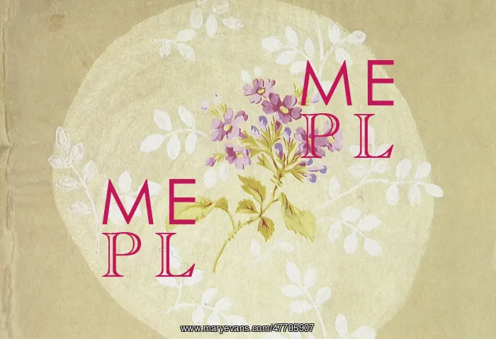  : Light purple flowers in the center of an oval