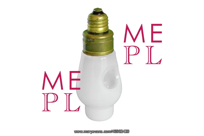  : Lightbulb Flycatcher