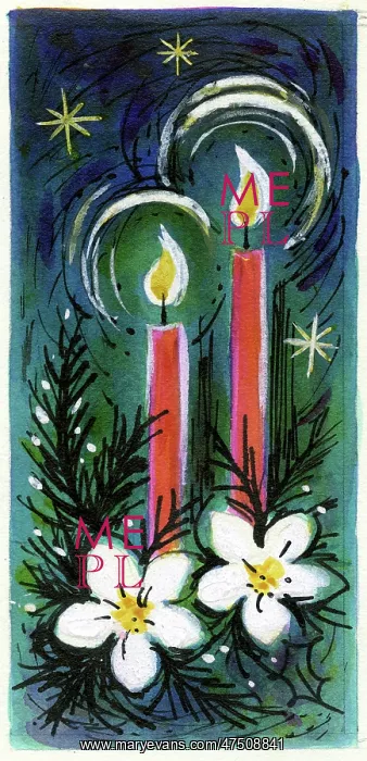 : Two lighted candles and Christmas roses : Two lighted candles and Christmas roses