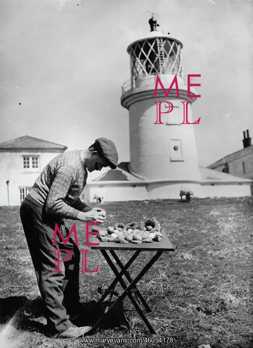 : The lighthouse keeper Mr. Cummins : The lighthouse keeper Mr. Cummins