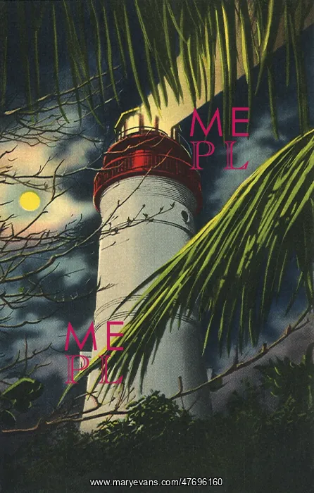  : Lighthouse and Palm. Key West