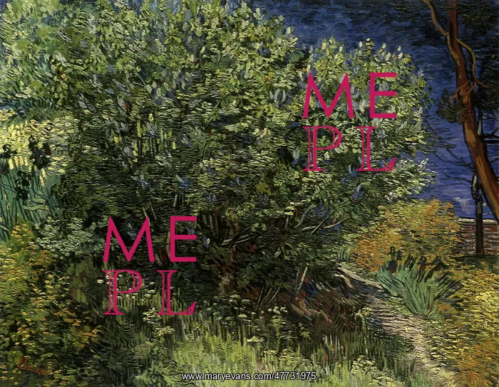  : Lilac Bush, by Van Gogh