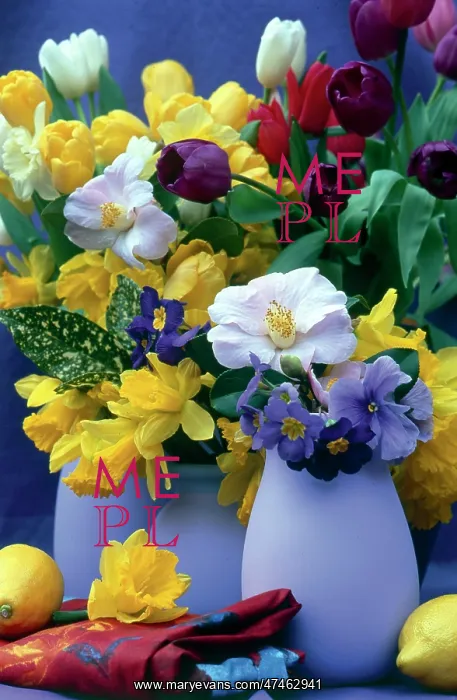 : Three Lilac Vases with Spring Flowers : Three Lilac Vases with Spring Flowers