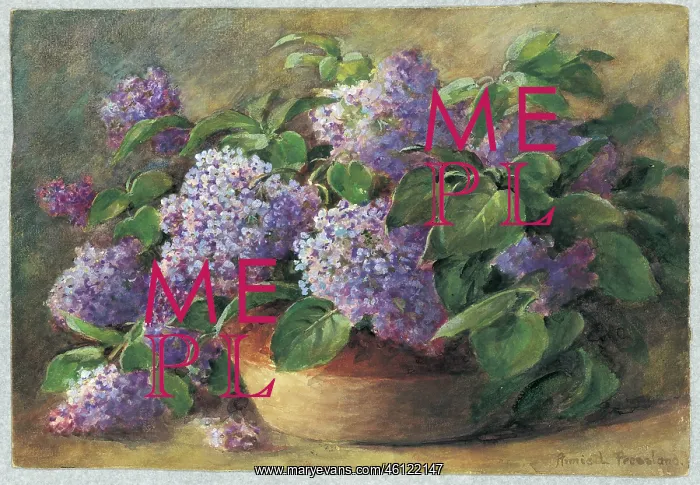  : Lilacs by Annie L. Pressland