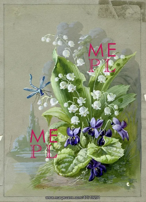 : Liles of the Valley and Violets : Liles of the Valley and Violets
