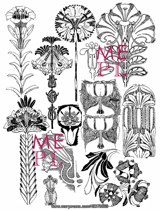 : Lilies. Studies in plant form with suggestions for their application to design : Lilies. Studies in plant form with suggestions for their application to design