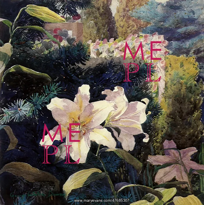  : Lilies