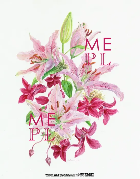  : Lilies and Clematis - pink flowers