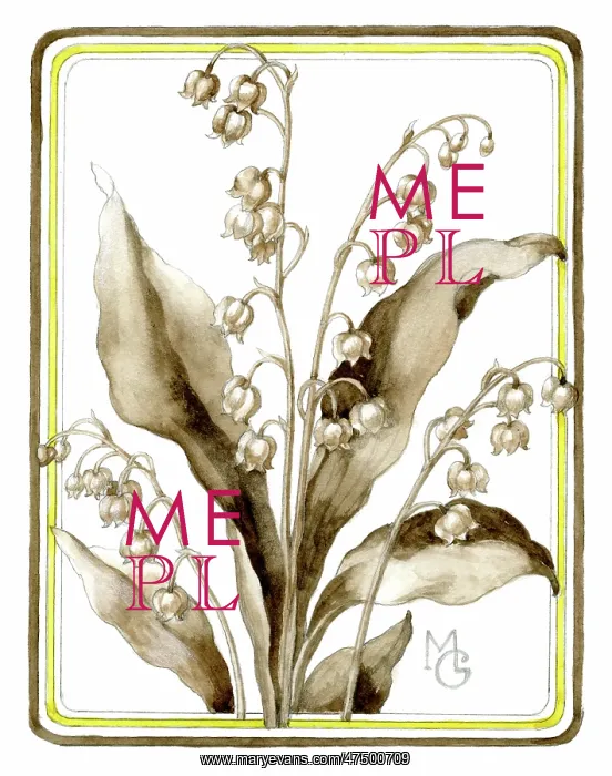 : Lilies of the Valley : Lilies of the Valley