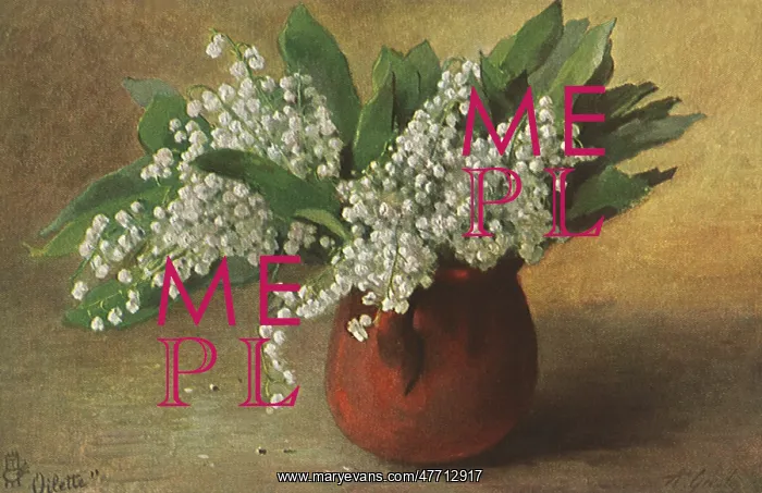 : Lilies of the Valley : Lilies of the Valley
