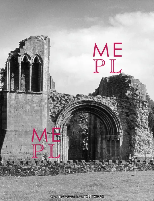 : LILLESHALL ABBEY : LILLESHALL ABBEY