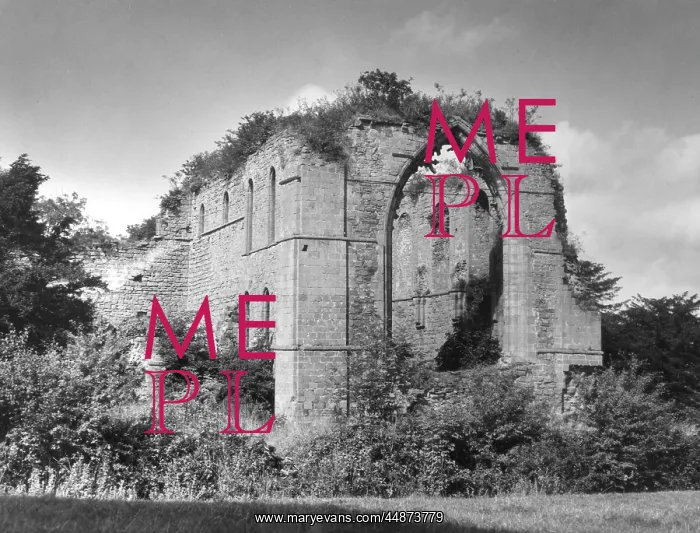 : LILLESHALL ABBEY : LILLESHALL ABBEY