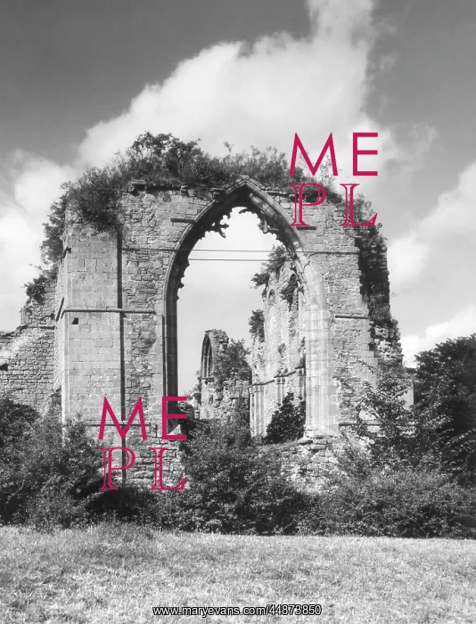 : LILLESHALL ABBEY : LILLESHALL ABBEY