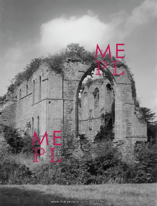 : LILLESHALL ABBEY : LILLESHALL ABBEY
