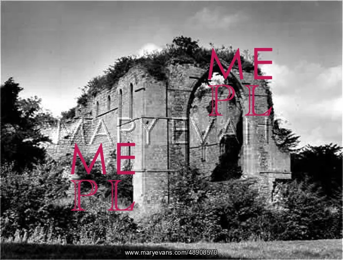 : LILLESHALL ABBEY : LILLESHALL ABBEY