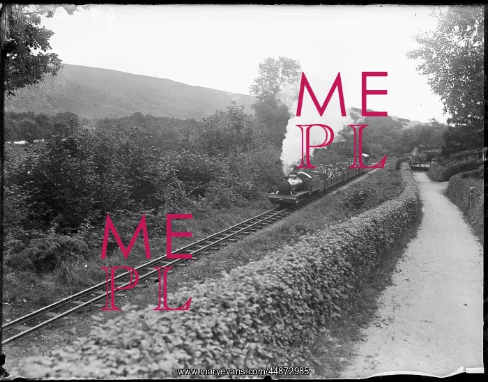 : LILLIPUTIAN TRAIN : LILLIPUTIAN TRAIN