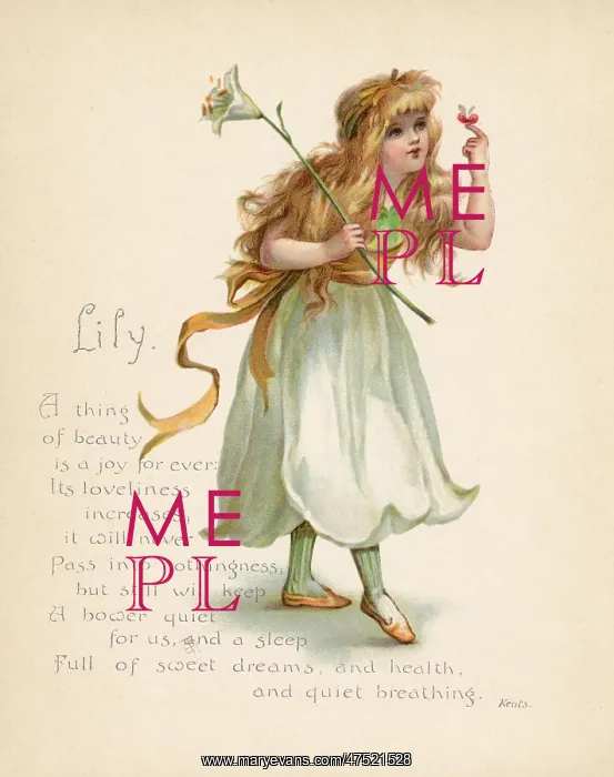  : Lily  /  Language of Flowers