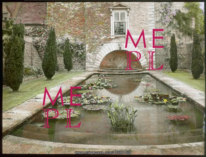 : Lily pond at Abbotswood, Gloucestershire : Lily pond at Abbotswood, Gloucestershire