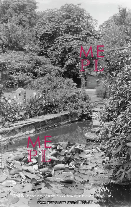 : The Lily Pond at Cober Hill : The Lily Pond at Cober Hill