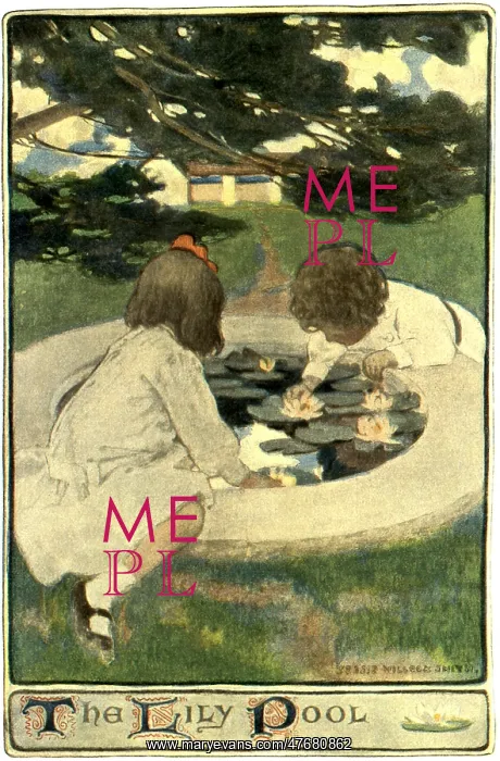 : The Lily Pool : The Lily Pool
