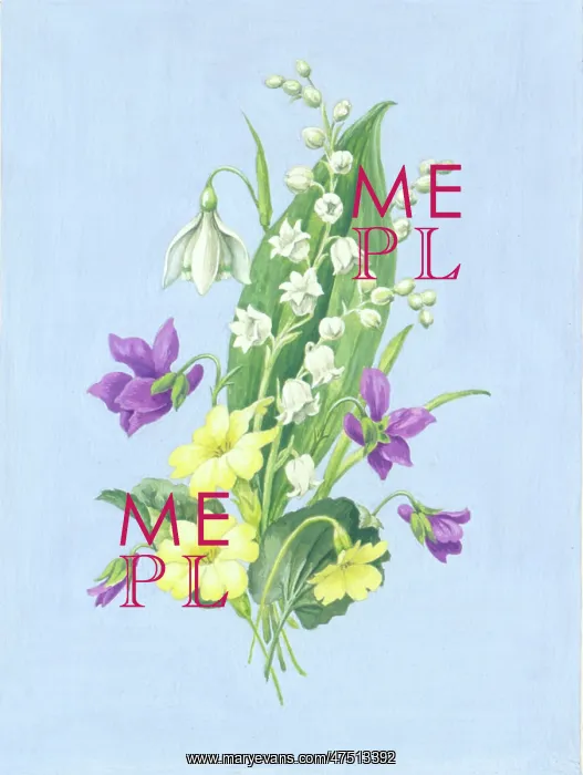 : Lily of the valley, snowdrop, violets, primroses : Lily of the valley, snowdrop, violets, primroses