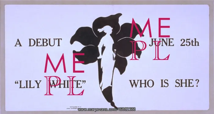 : Lily White, who is she? a debut, June 25th : Lily White, who is she? a debut, June 25th