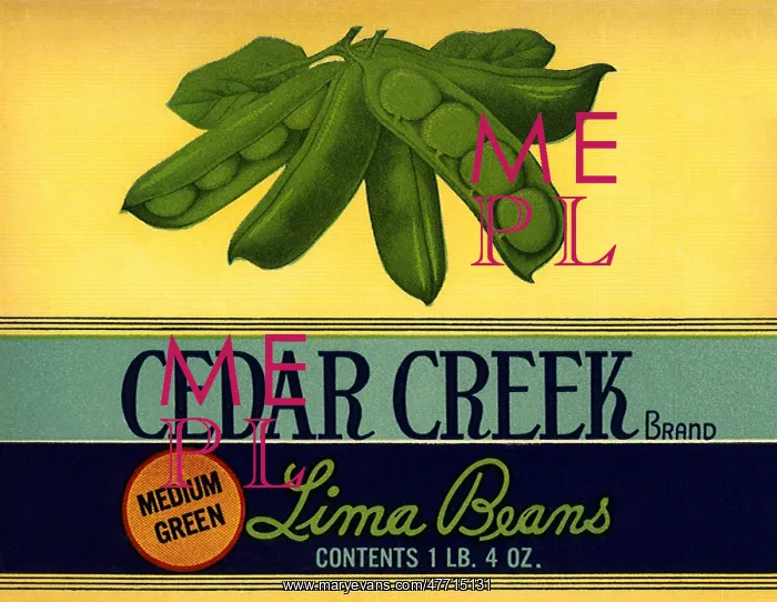  : Lima Bean Ad